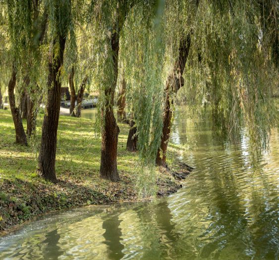 things to do for destination